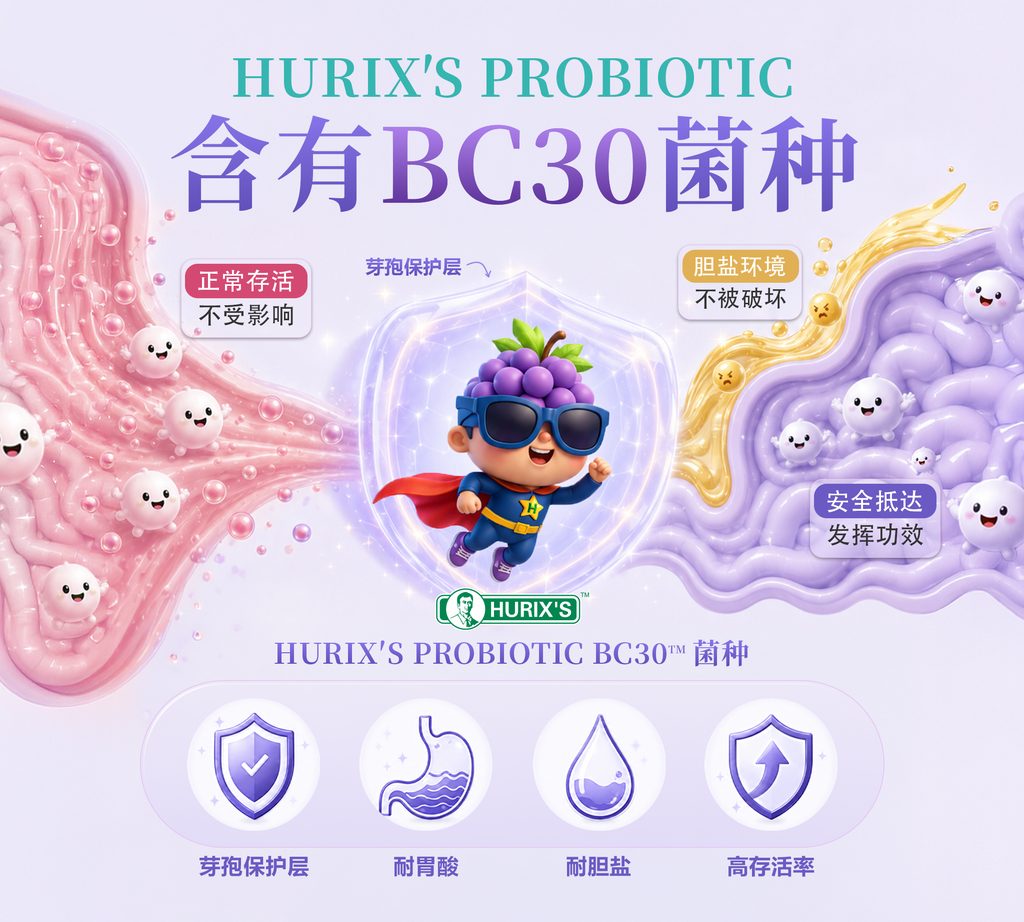 HURIX'S PROBIOTIC BC30™ 具有芽孢保护层、耐胃酸、耐胆盐和高存活率
