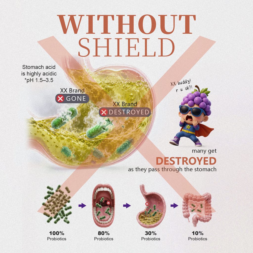Probiotic survival through stomach acid with BC30™ spore-forming probiotic protection