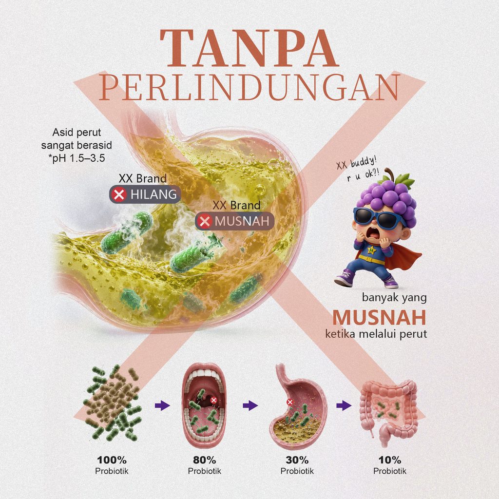 Perbandingan probiotik tanpa lapisan perlindungan dalam persekitaran asid perut